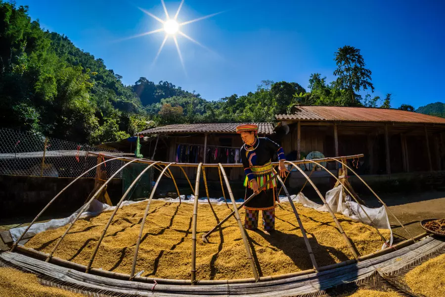 tourism development linked to agriculture and forestry